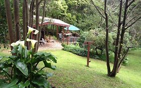 Stone'S Throw Cottage Bed And Breakfast